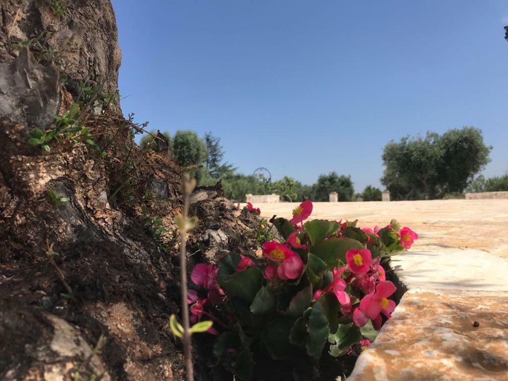 Trulli Da Lalli オストゥーニ エクステリア 写真